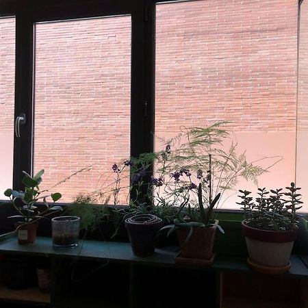 Logement De Charme Aux Carmes Toulouse Exterior photo